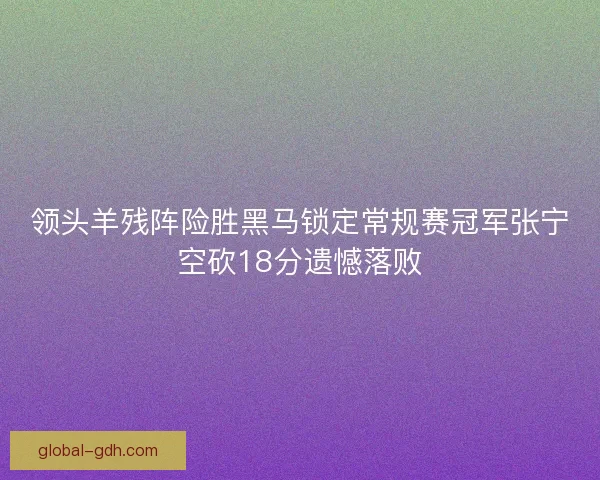领头羊残阵险胜黑马锁定常规赛冠军张宁空砍18分遗憾落败